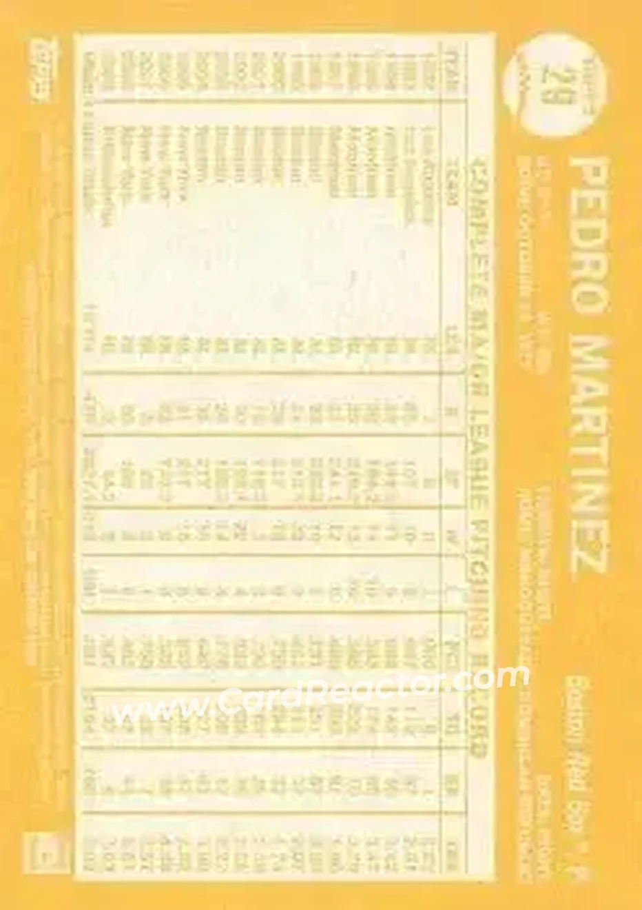 Back of Pedro Martinez