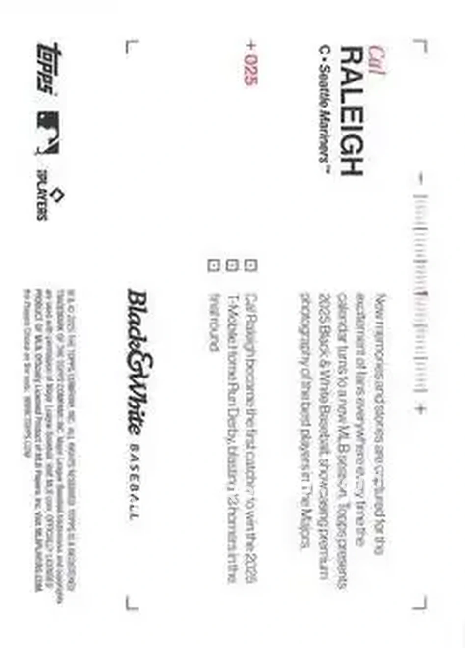 Back of Cal Raleigh