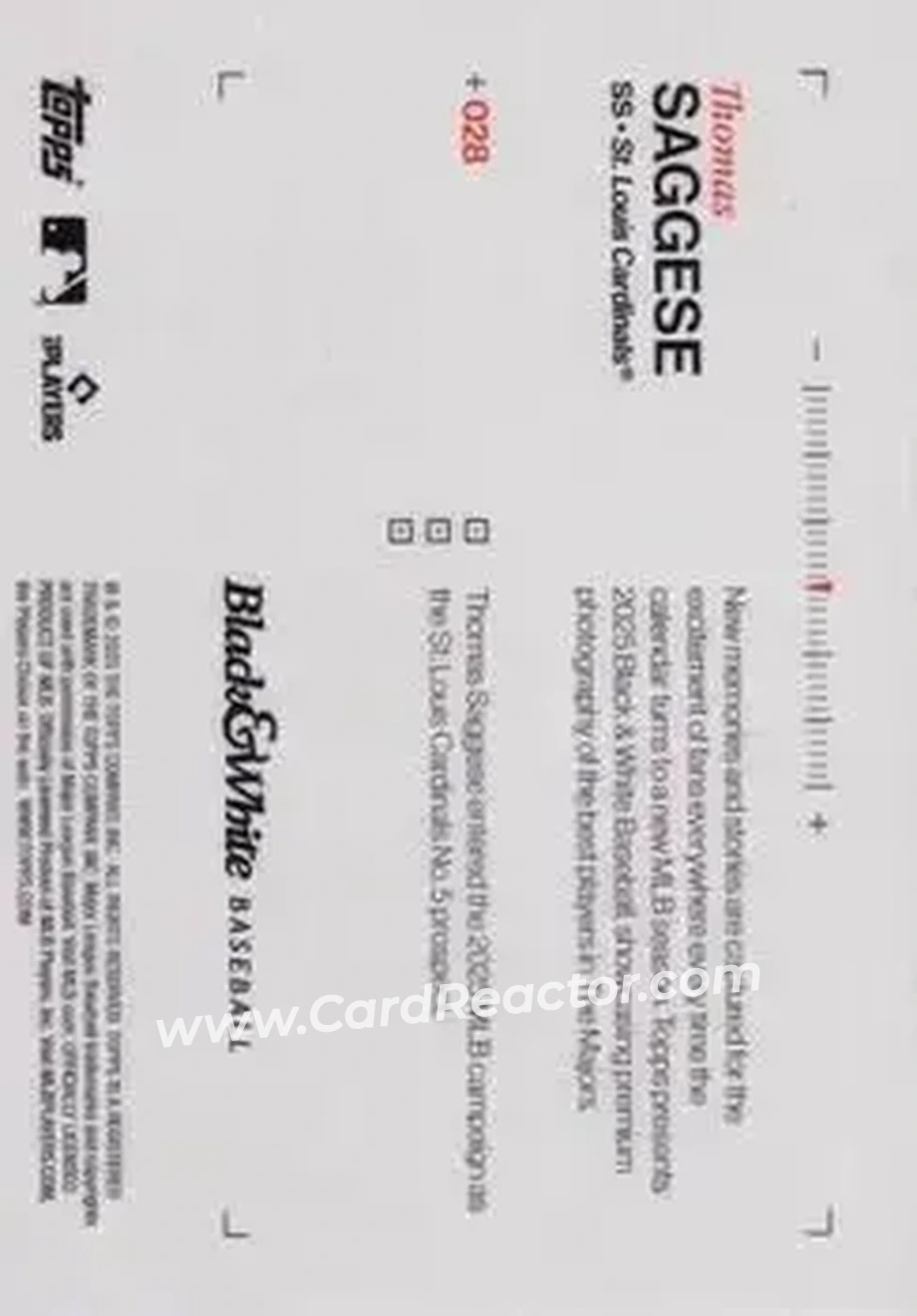 Back of Thomas Saggese