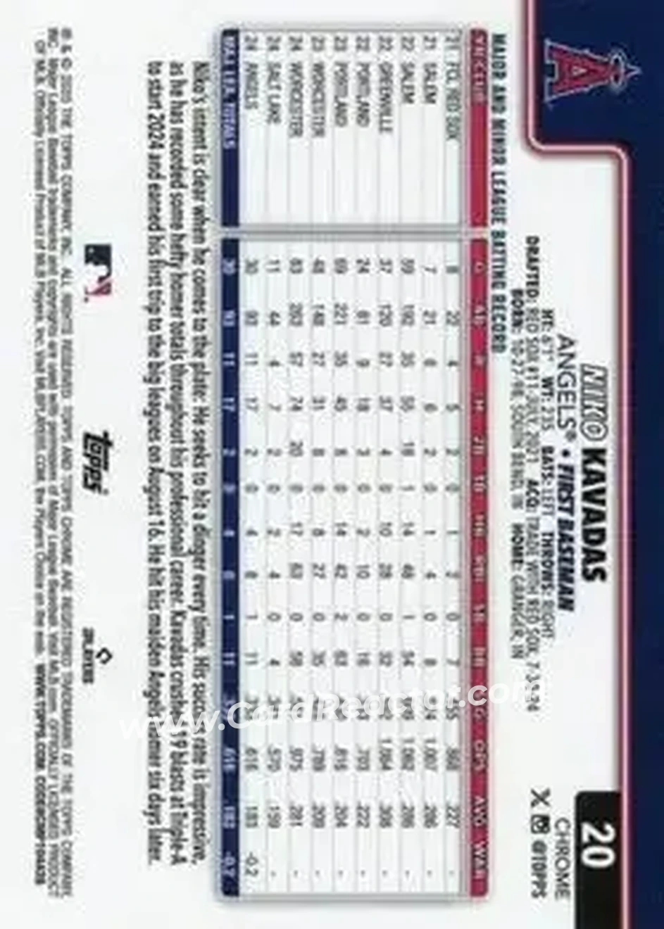 Back of Niko Kavadas