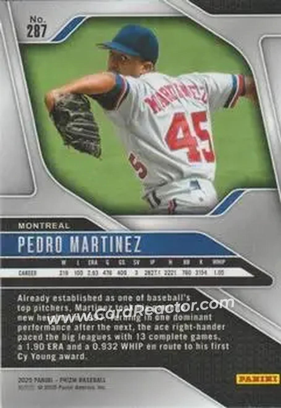 Back of Pedro Martinez