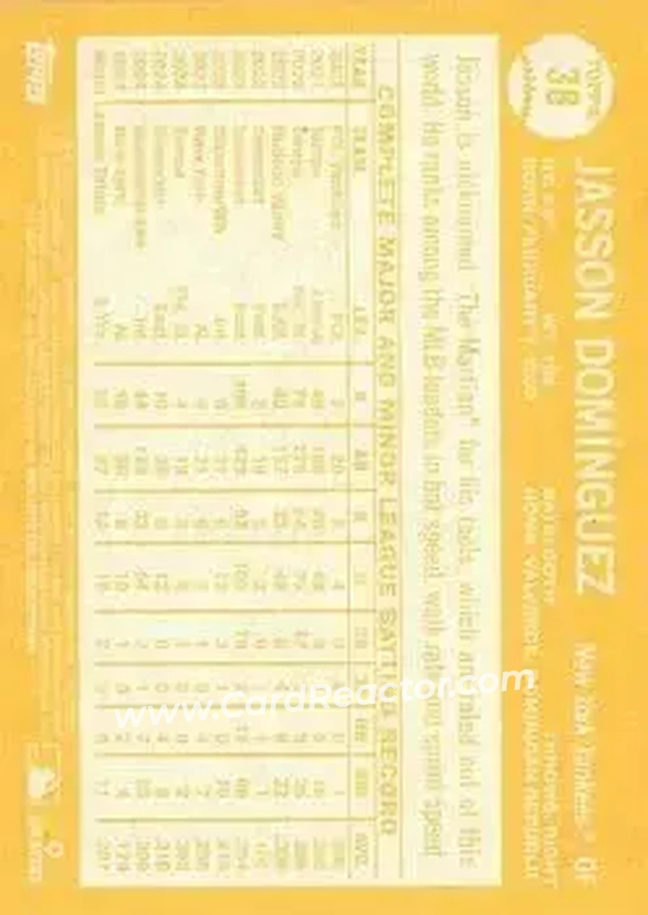 Back of Jasson Domínguez