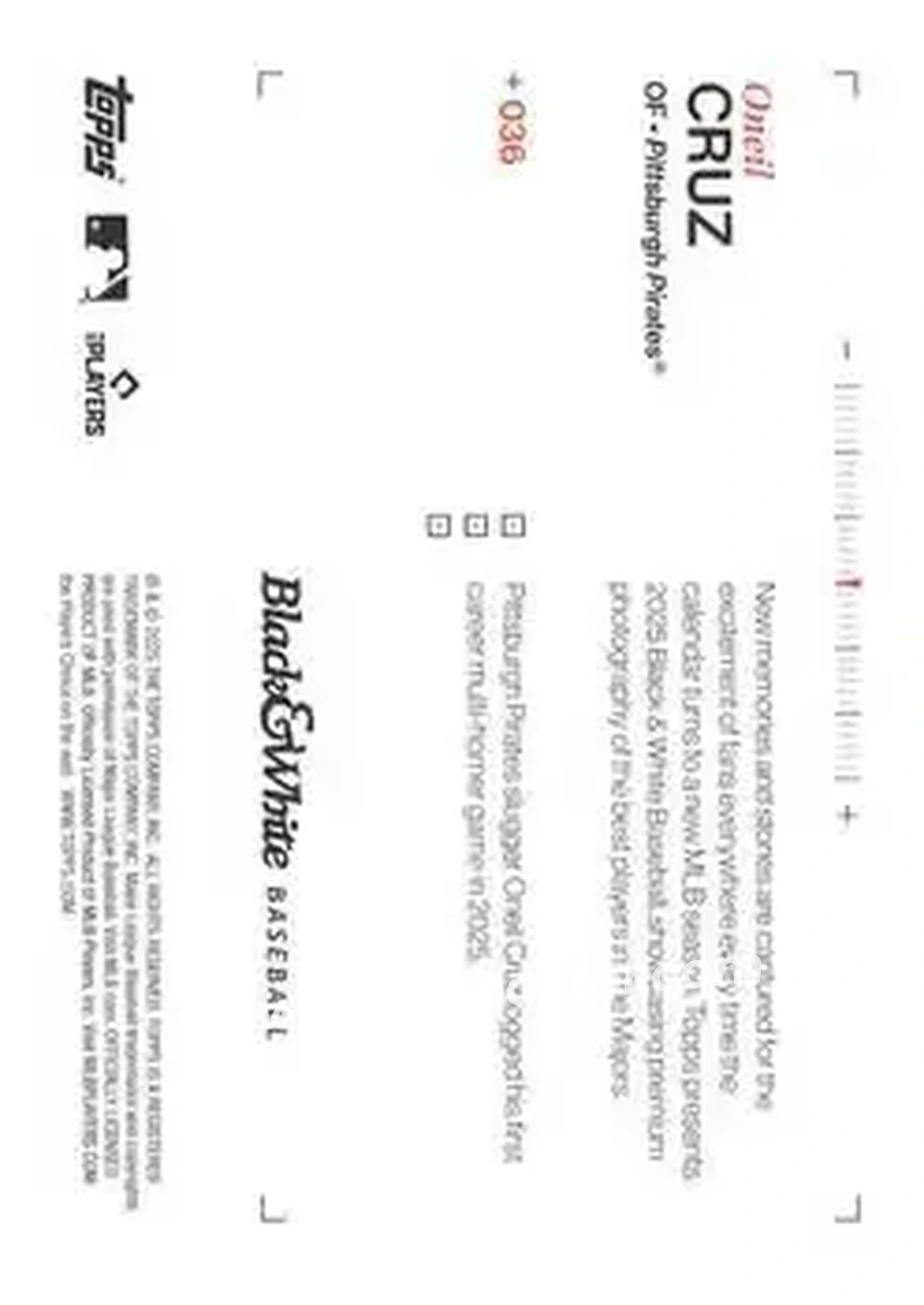 Back of Oneil Cruz