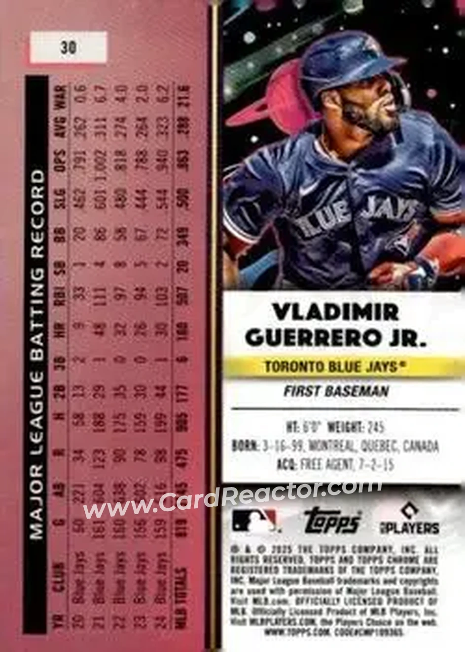 Back of Vladimir Guerrero Jr.