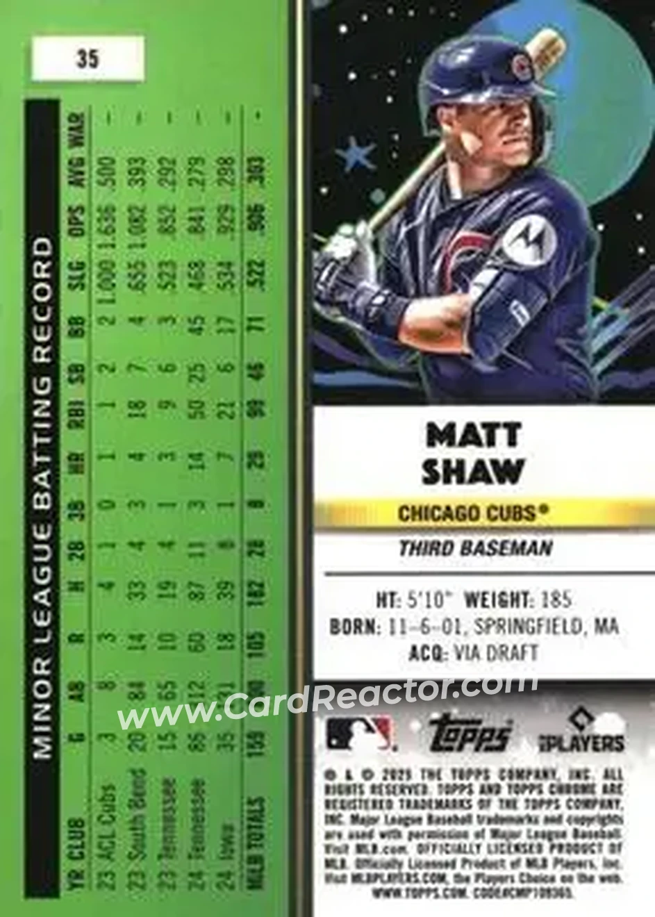 Back of Matt Shaw