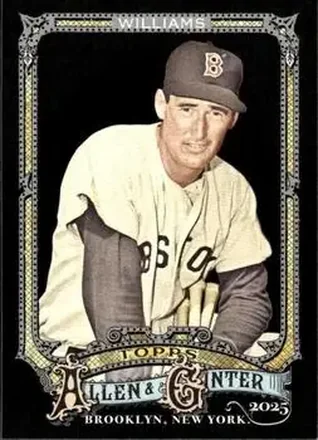 2025 Topps Allen & Ginter X #48 Ted Williams