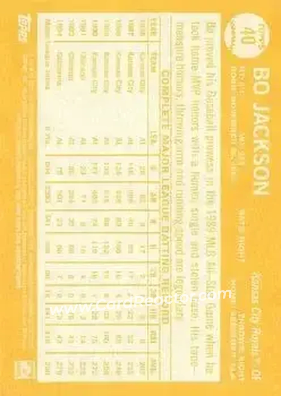 Back of Bo Jackson
