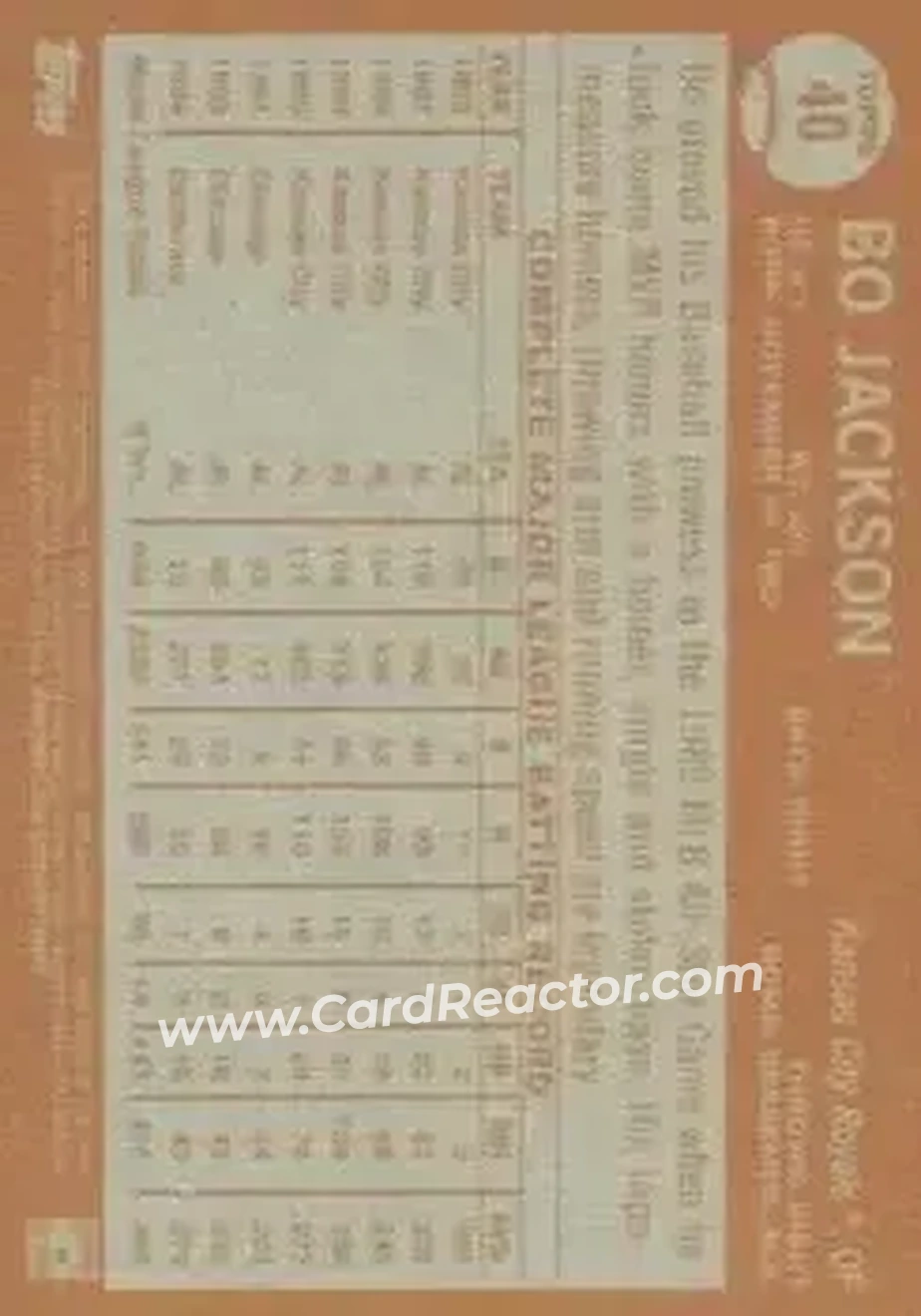 Back of Bo Jackson