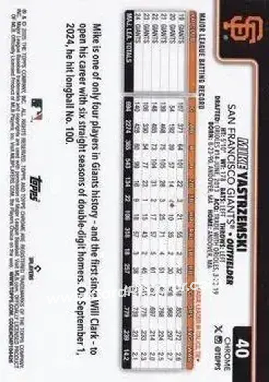 Back of Mike Yastrzemski
