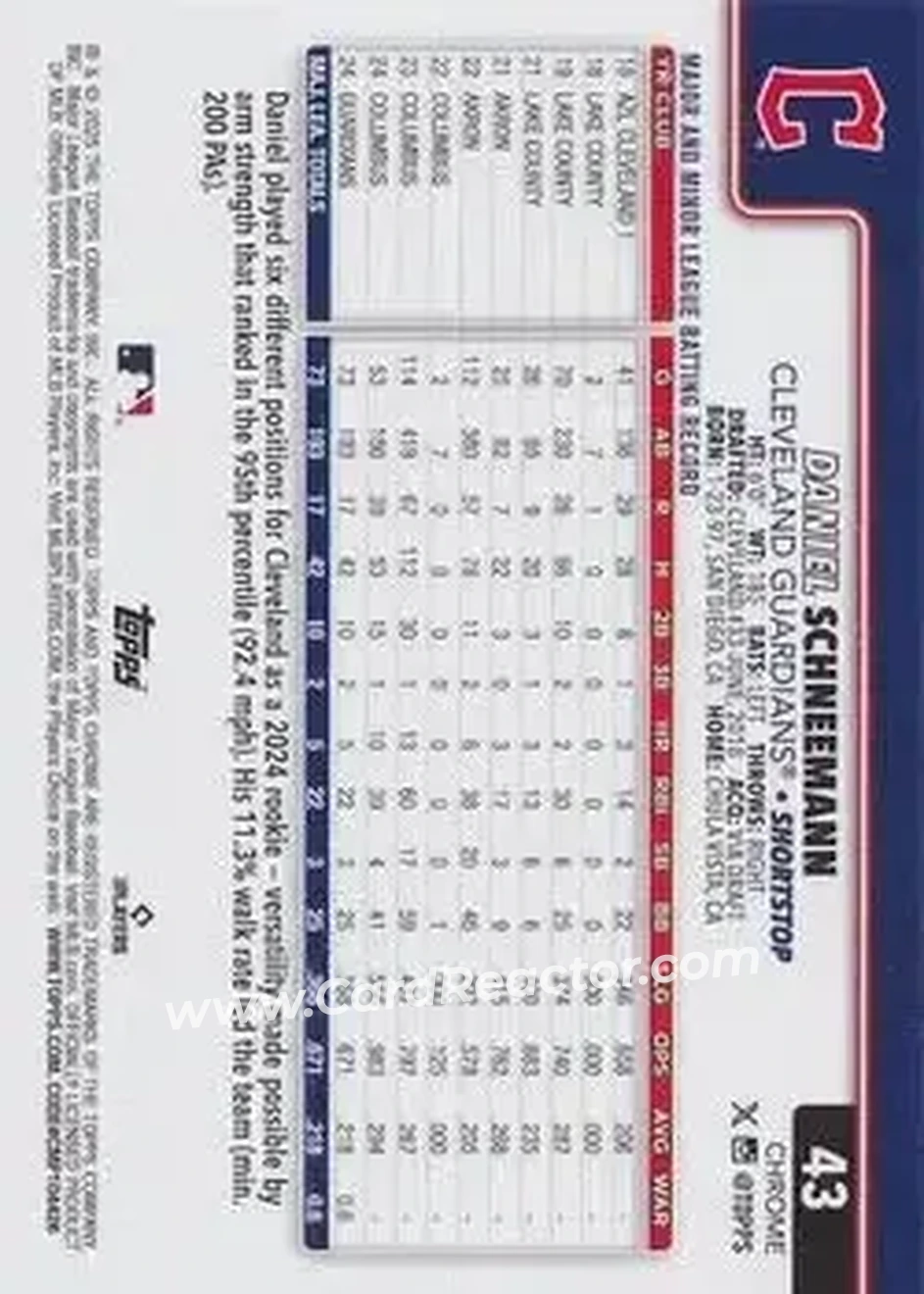 Back of Daniel Schneemann