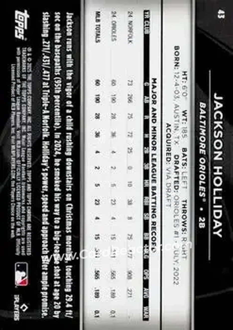 Back of Jackson Holliday