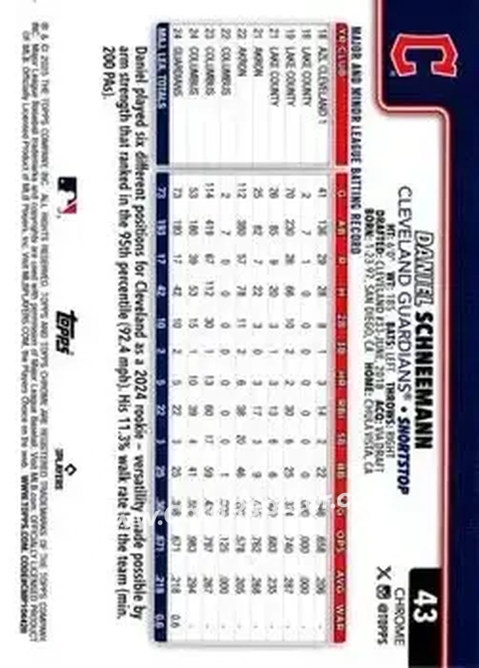 Back of Daniel Schneemann