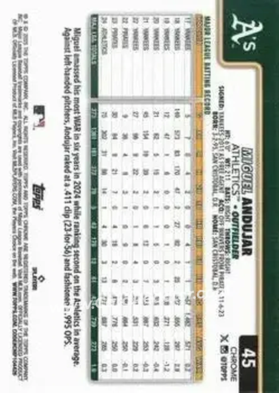 Back of Miguel Andujar