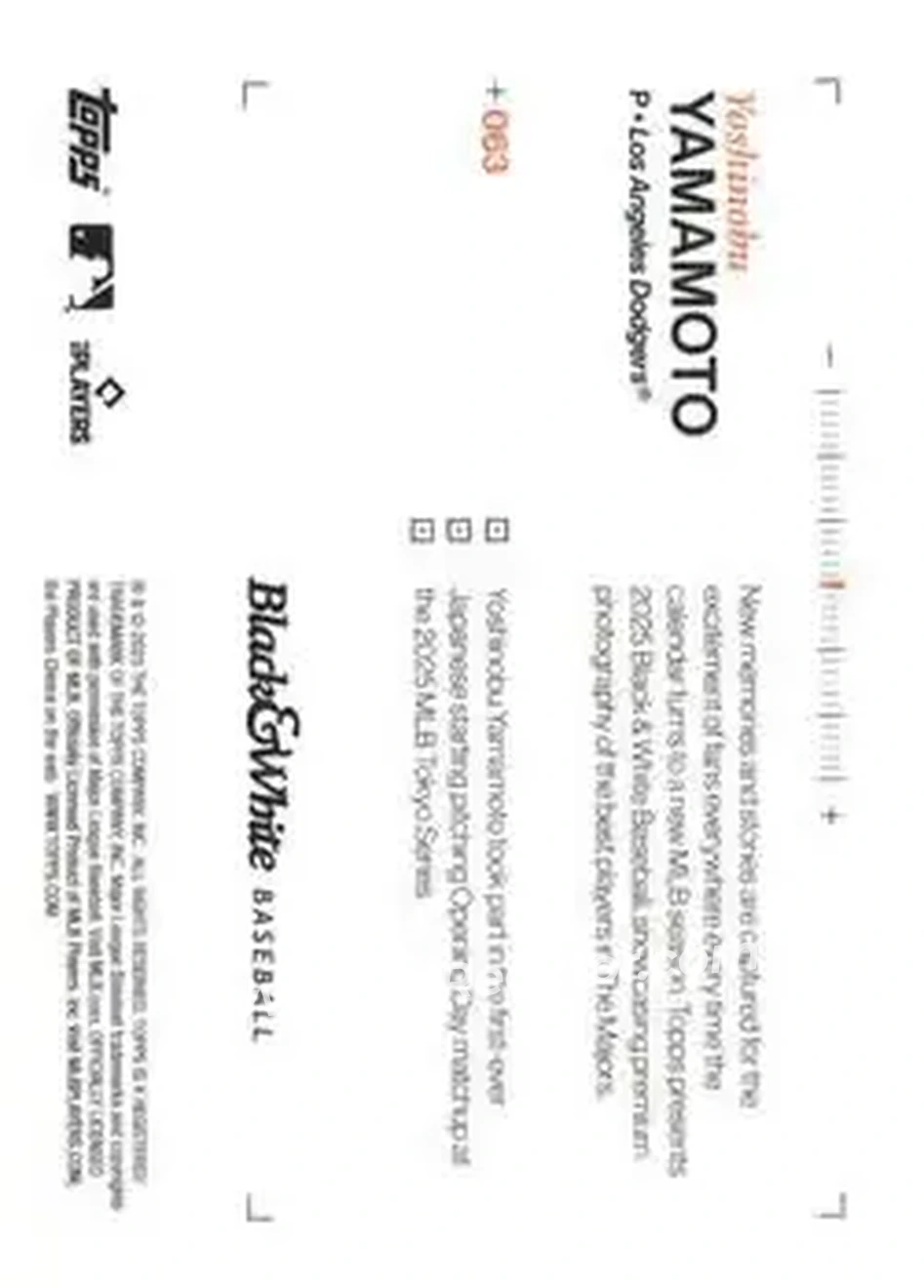 Back of Yoshinobu Yamamoto
