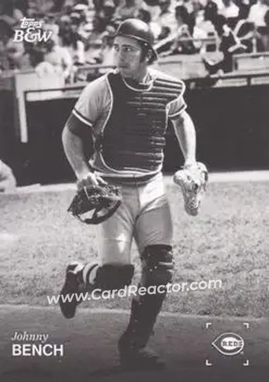 Front of Johnny Bench