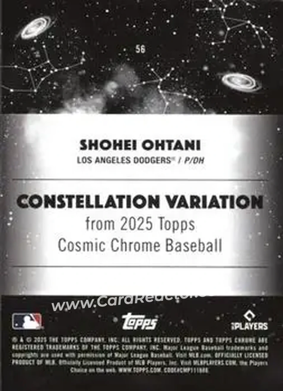 Back of Shohei Ohtani