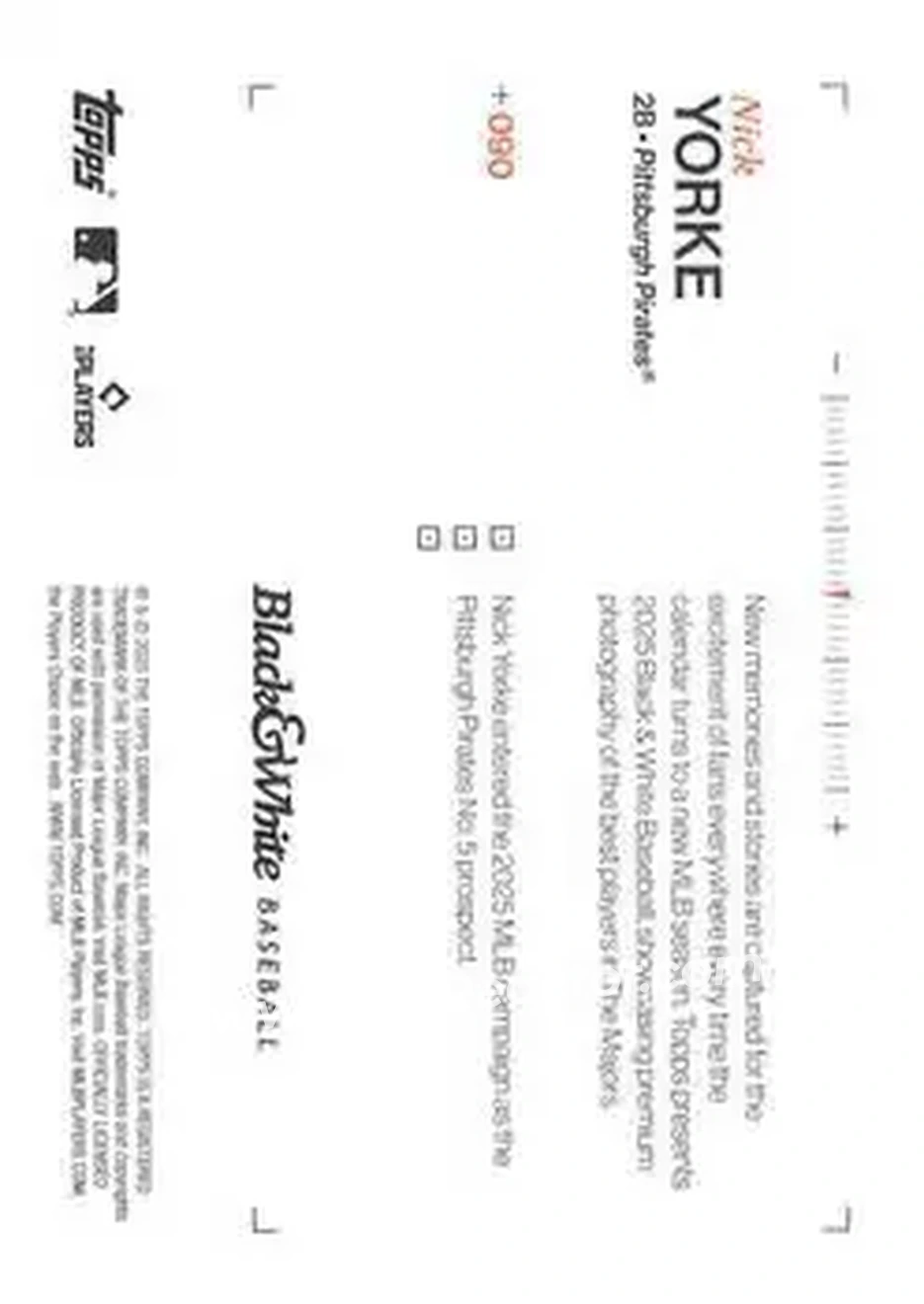 Back of Nick Yorke