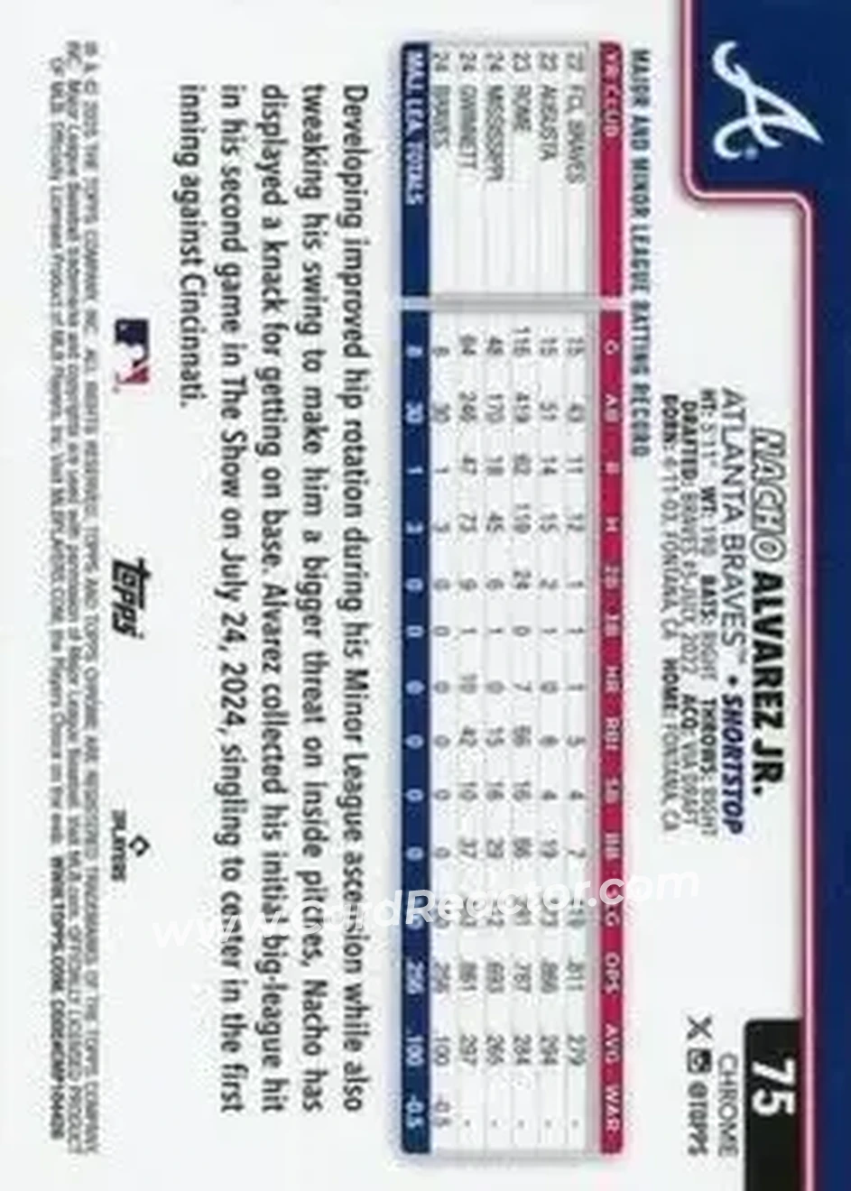 Back of Nacho Alvarez Jr.