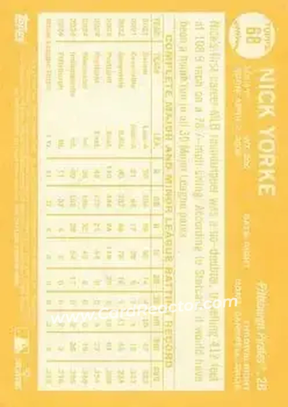 Back of Nick Yorke