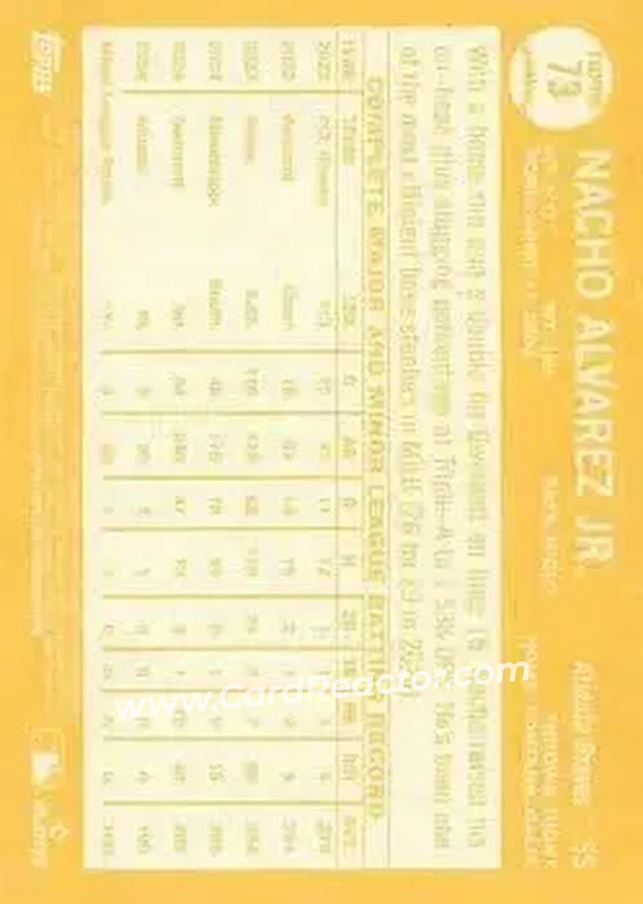 Back of Nacho Alvarez Jr.