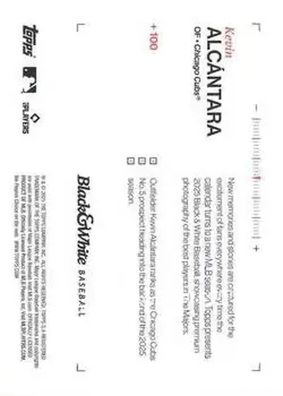 Back of Kevin Alcántara