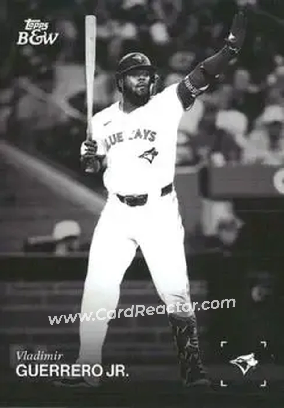 Front of Vladimir Guerrero Jr.