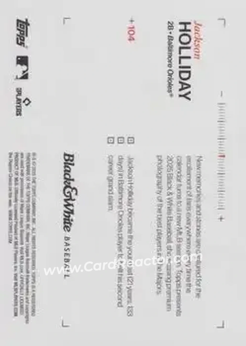 Back of Jackson Holliday
