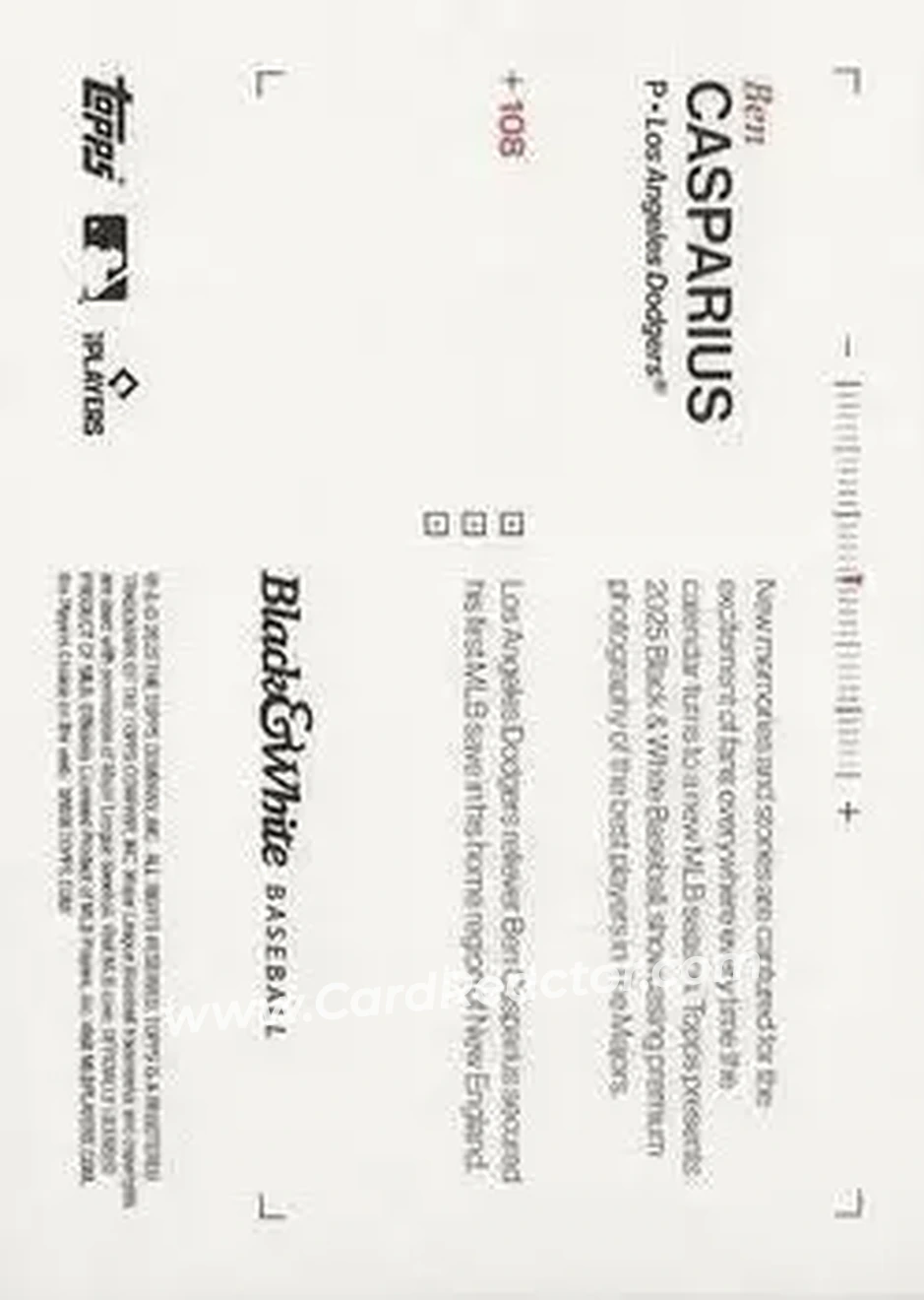 Back of Ben Casparius