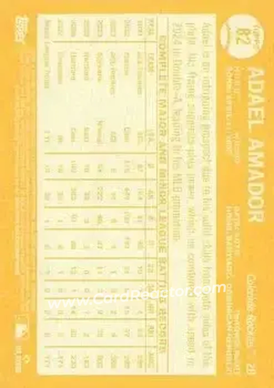 Back of Adael Amador