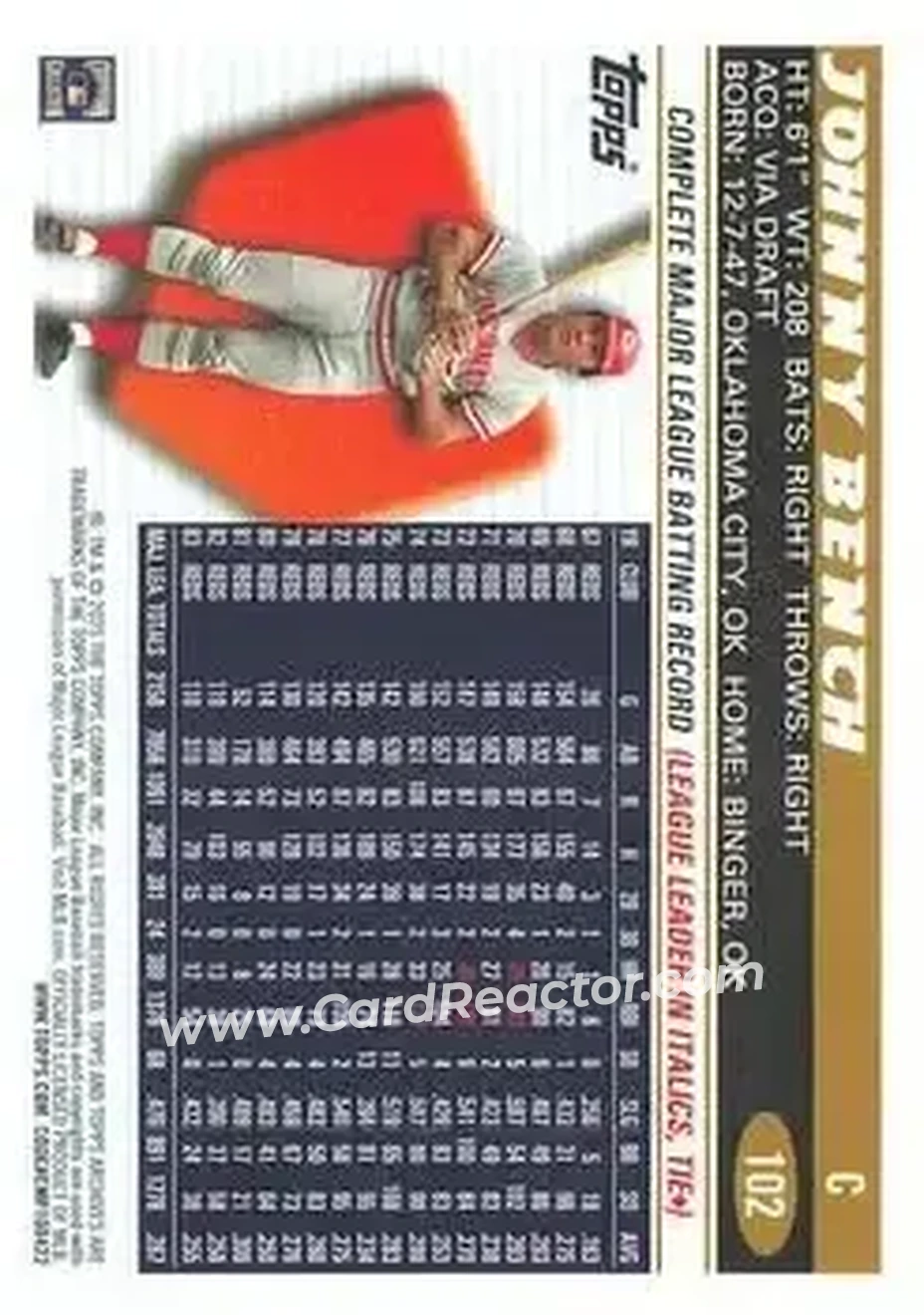Back of Johnny Bench