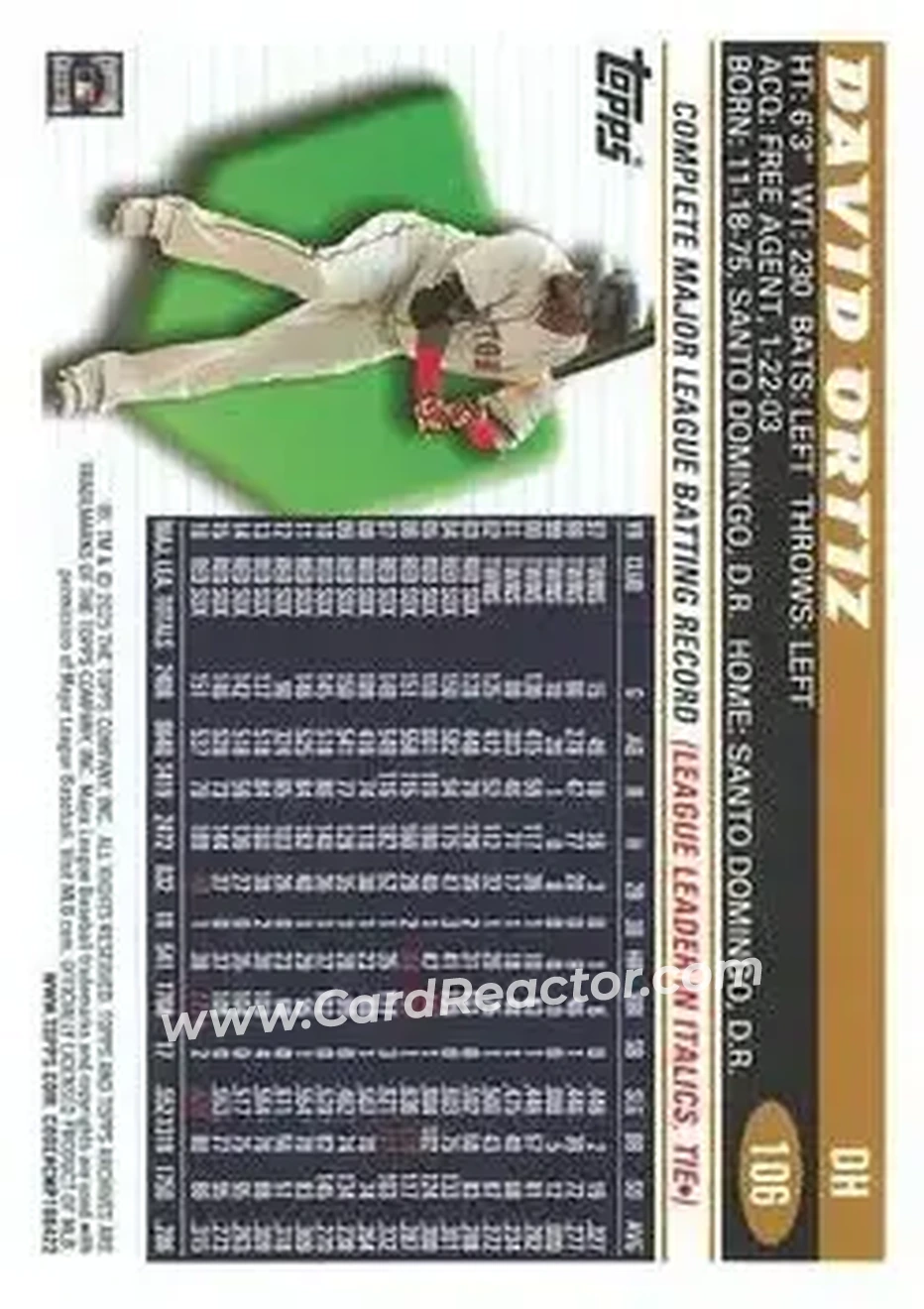 Back of David Ortiz