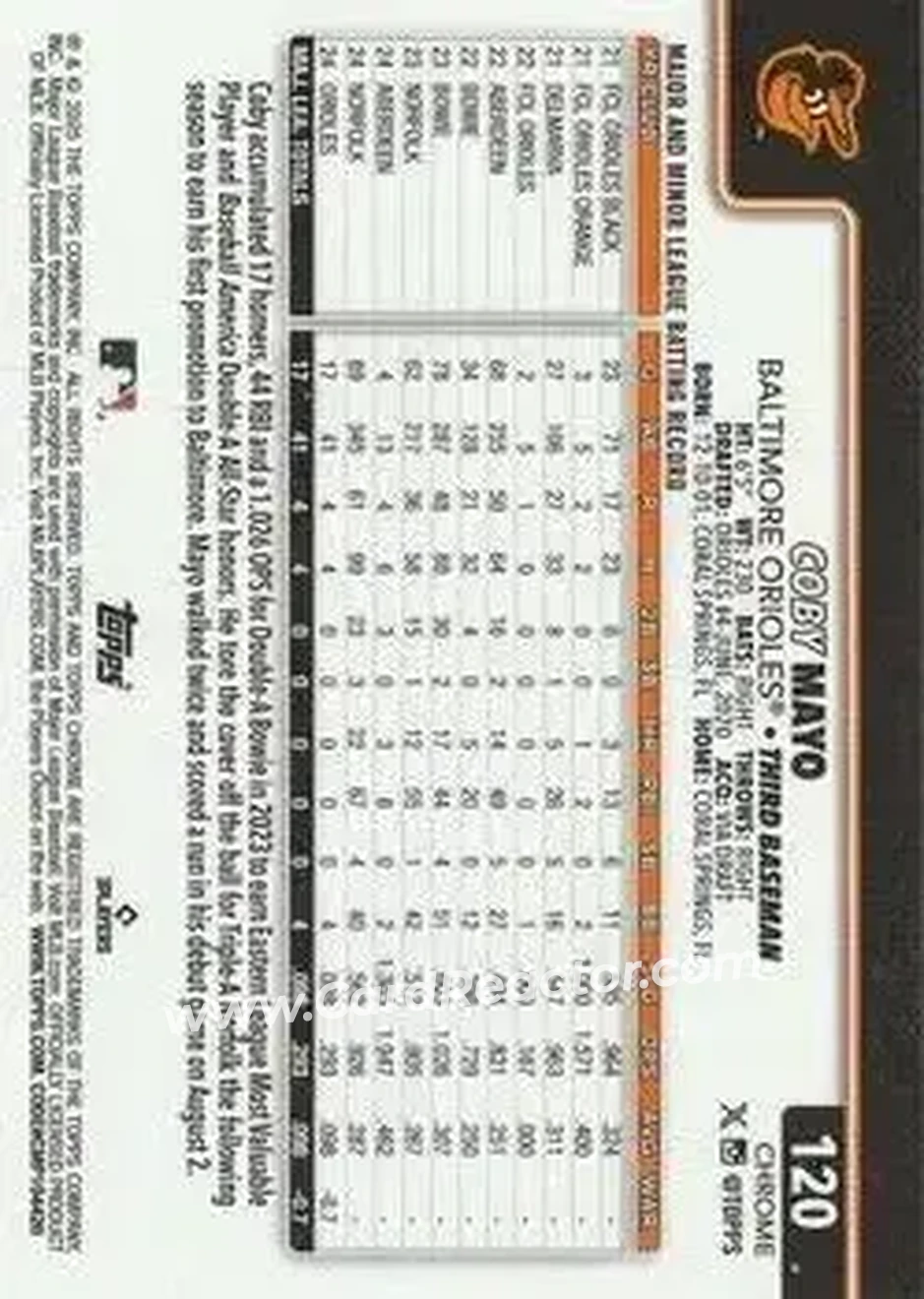 Back of Coby Mayo