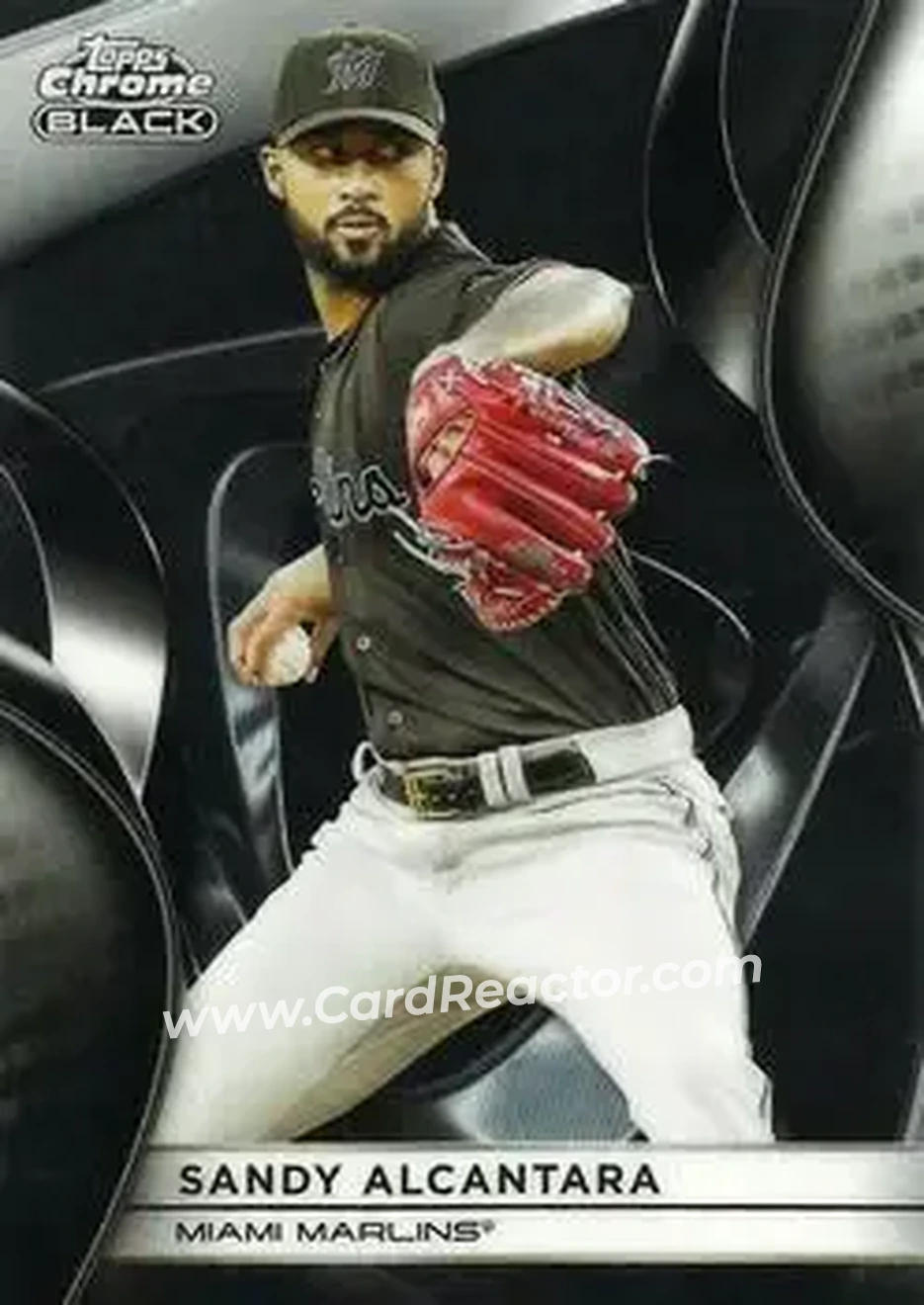 Front of Sandy Alcantara
