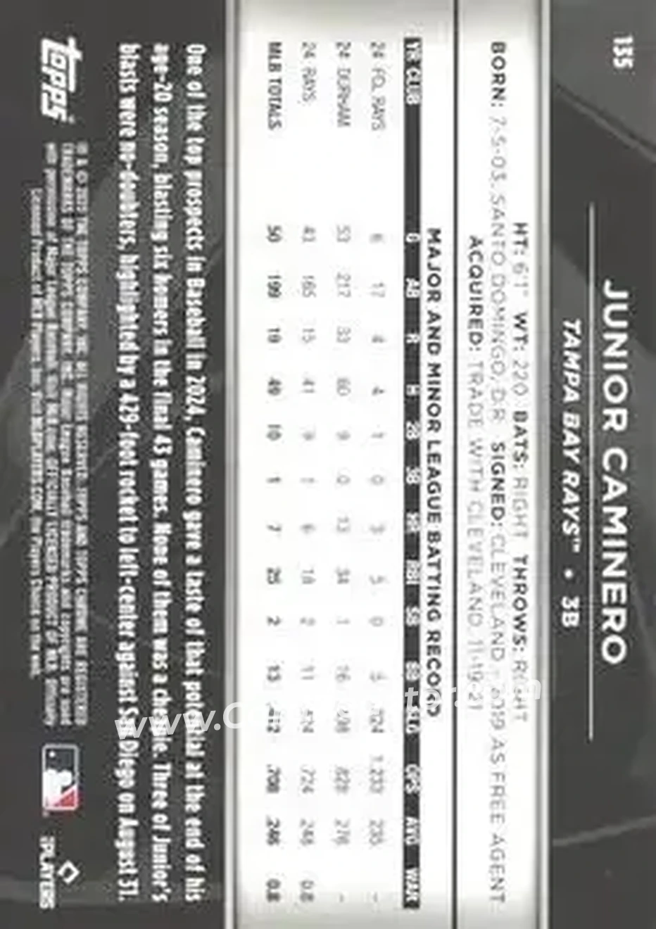 Back of Junior Caminero