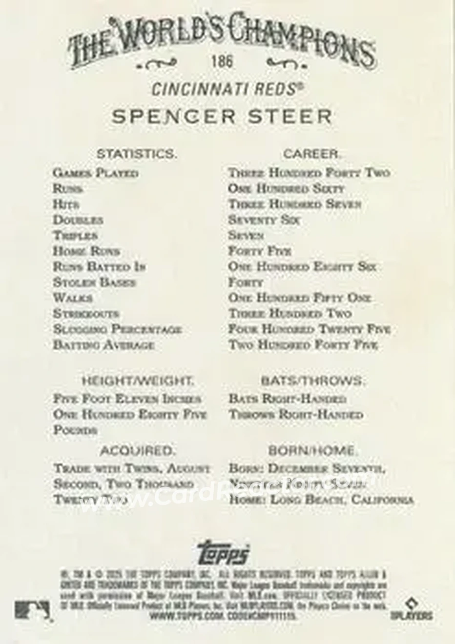 Back of Spencer Steer