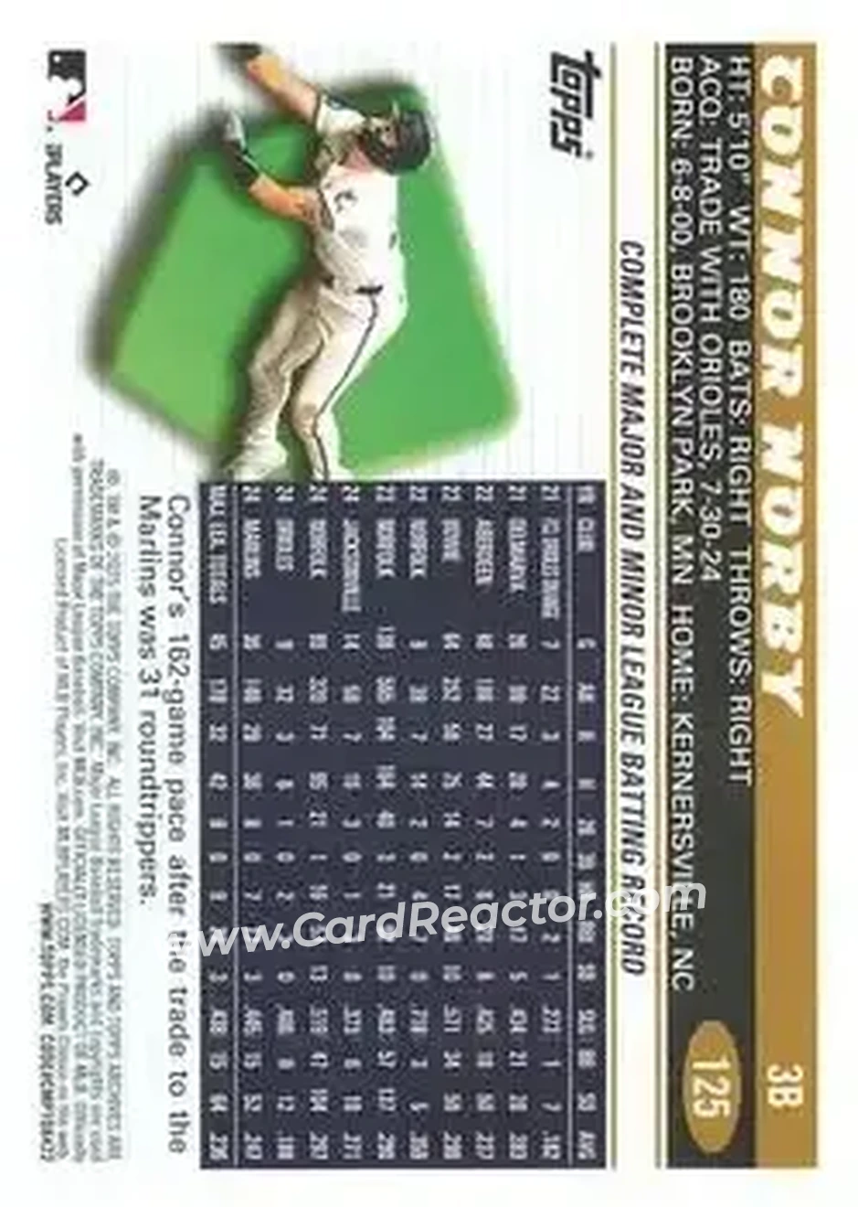 Back of Connor Norby