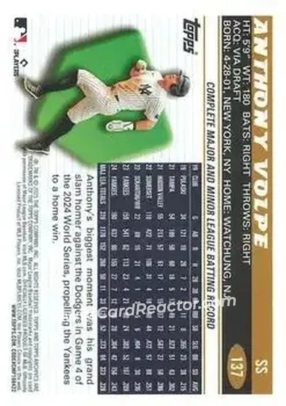 Back of Anthony Volpe