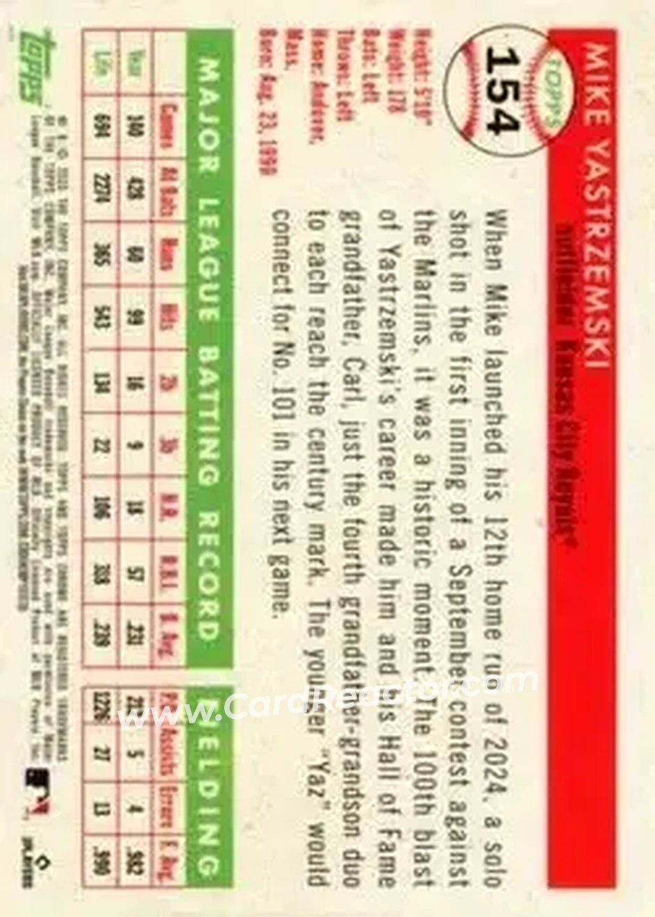 Back of Mike Yastrzemski