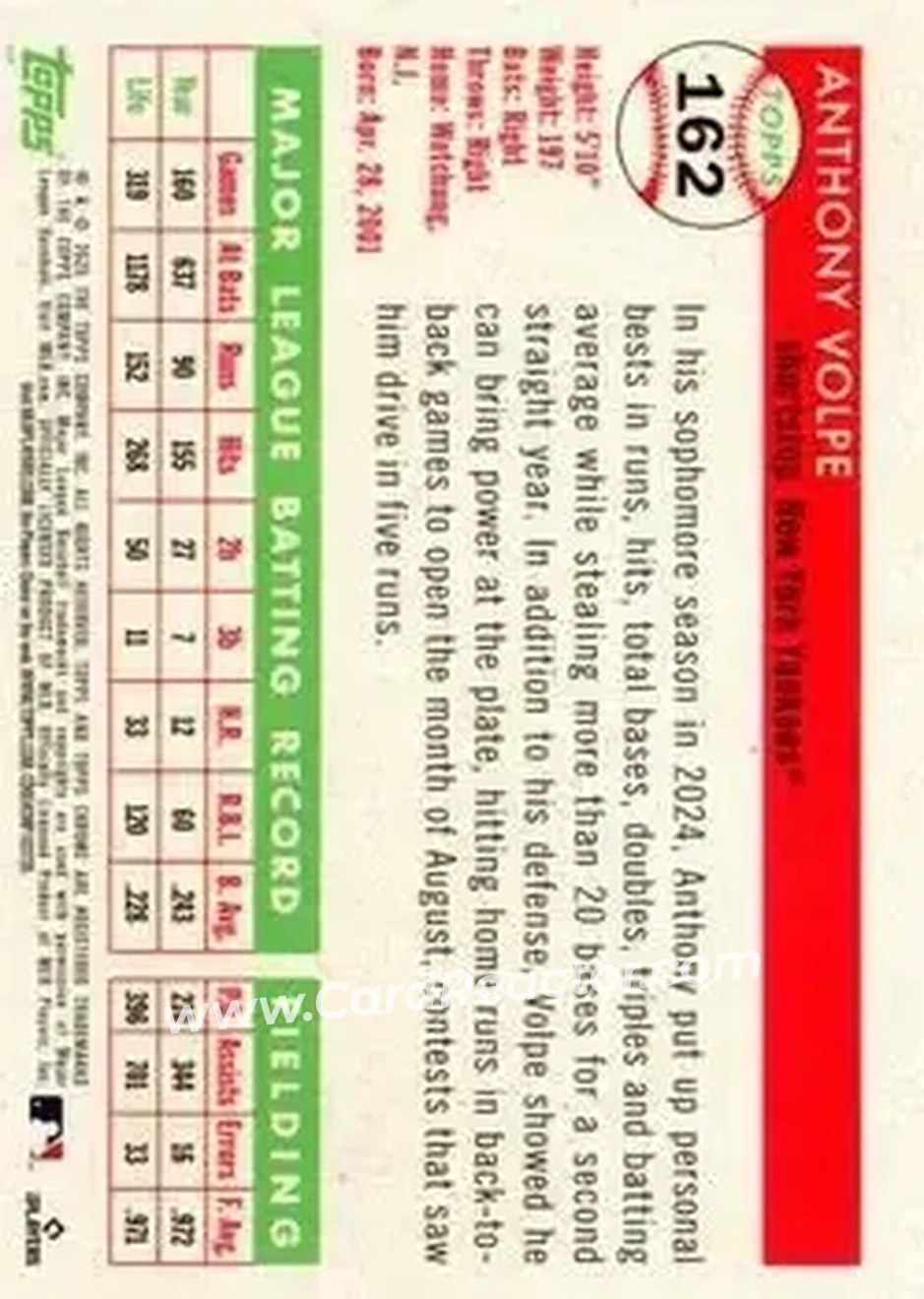 Back of Anthony Volpe