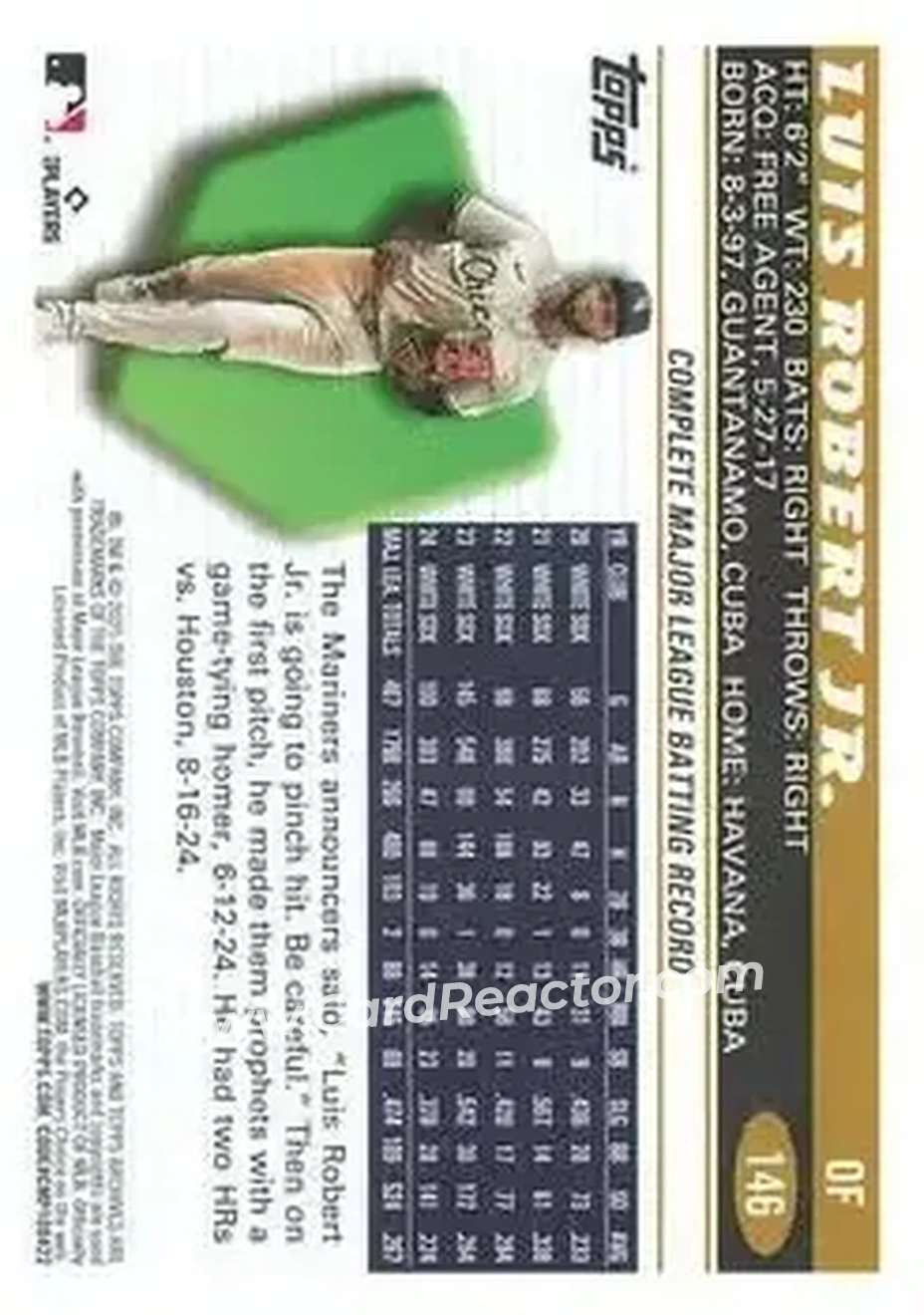 Back of Luis Robert Jr.
