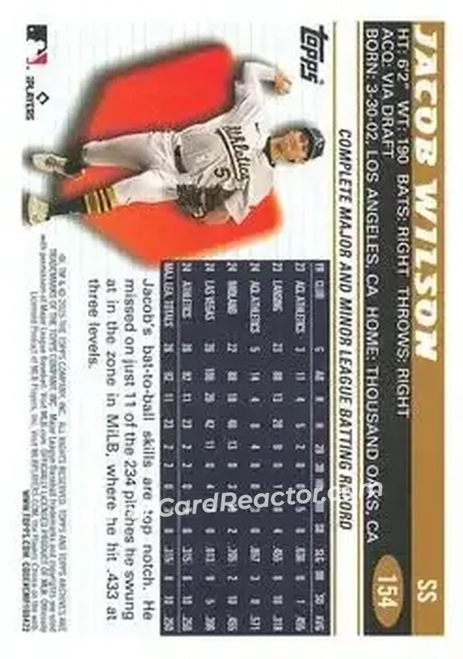 Back of Jacob Wilson