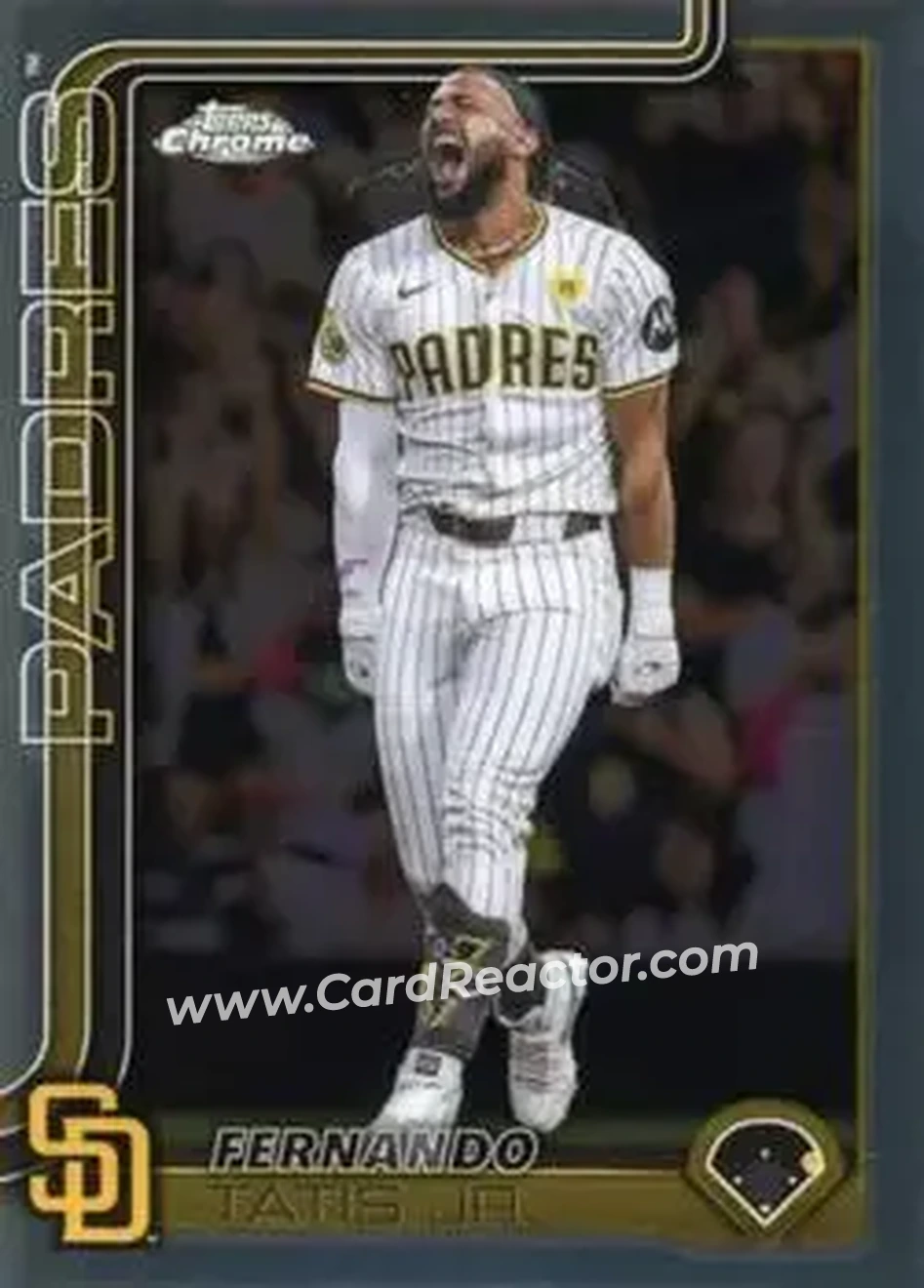 Front of Fernando Tatis Jr.
