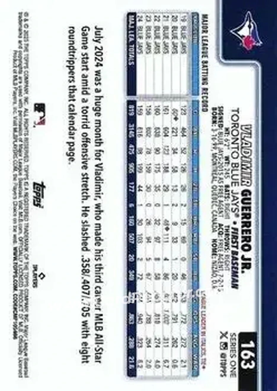Back of Vladimir Guerrero Jr.