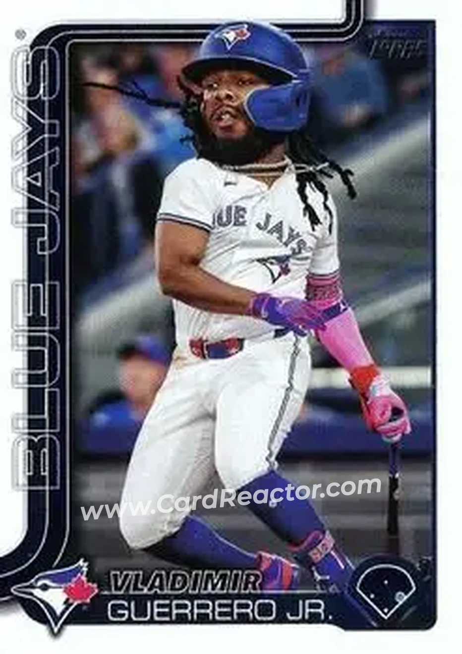 Front of Vladimir Guerrero Jr.
