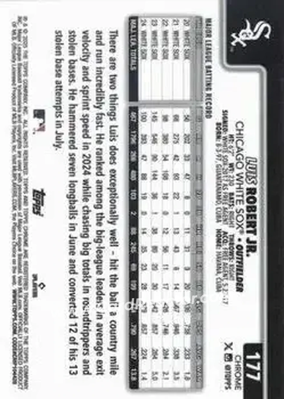 Back of Luis Robert Jr.
