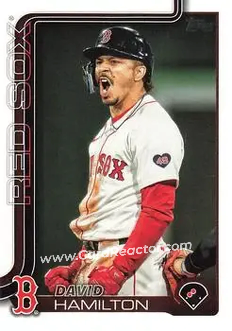 Front of David Hamilton