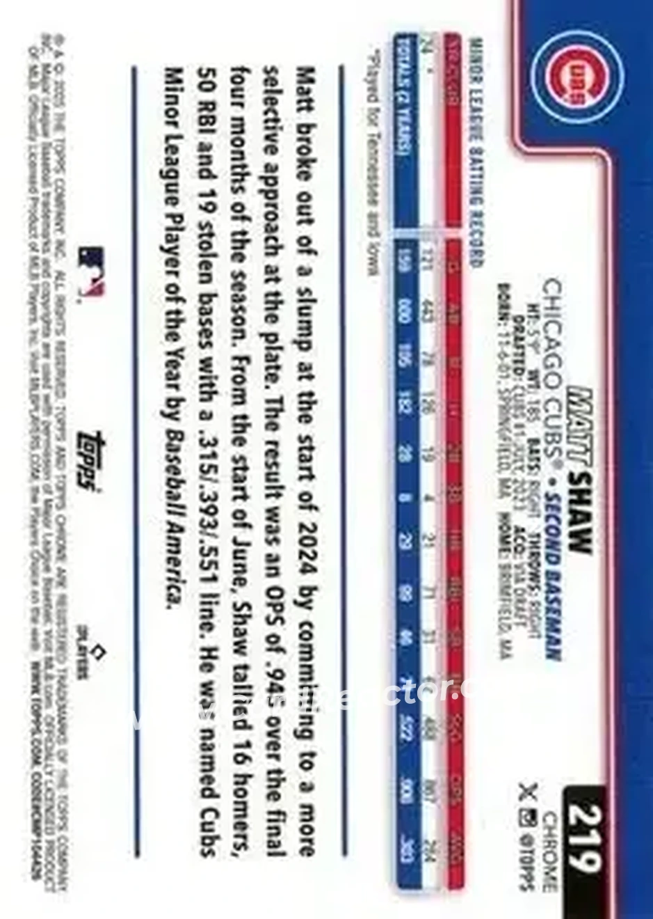 Back of Matt Shaw