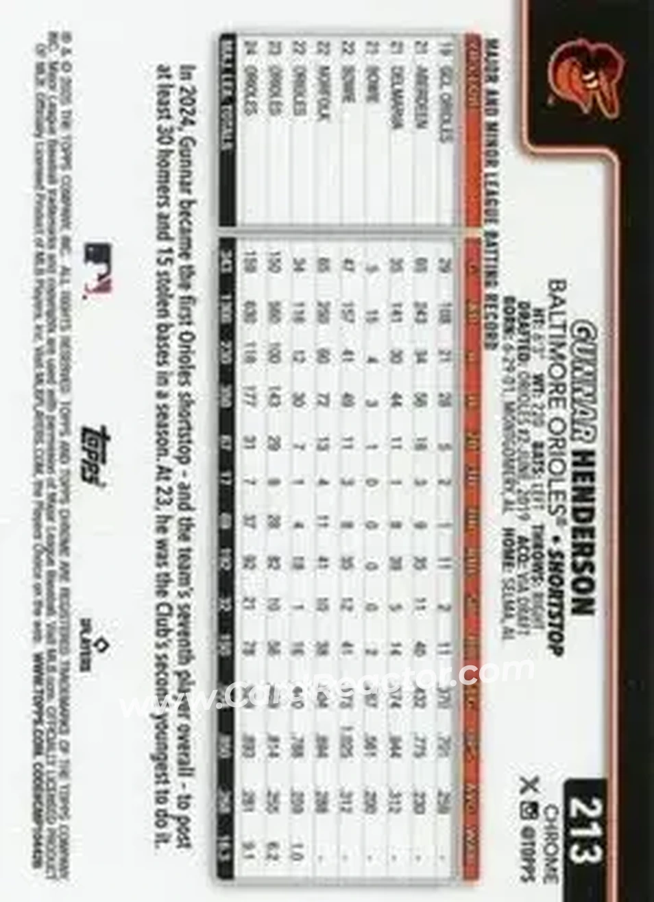 Back of Gunnar Henderson
