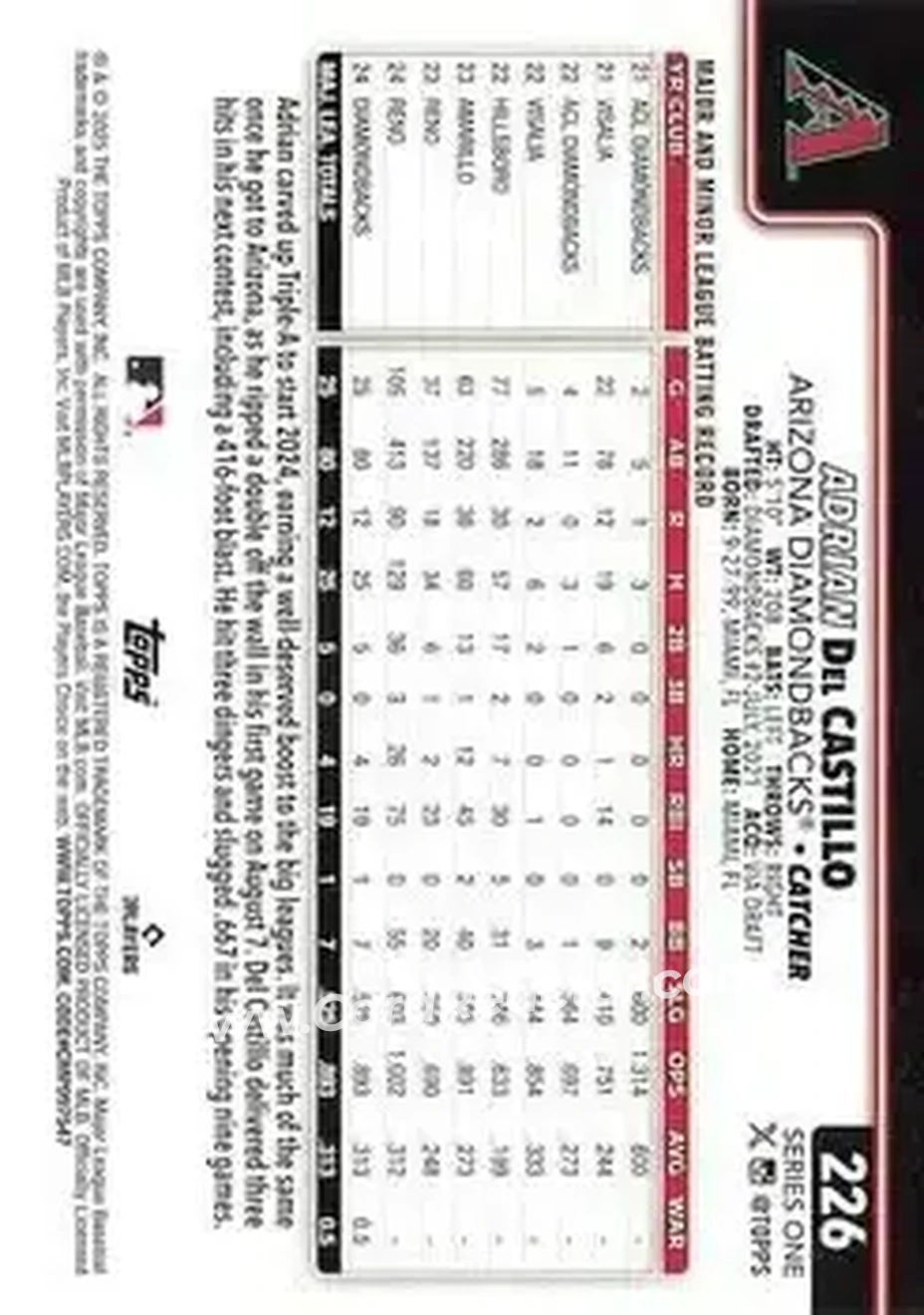 Back of Adrian Del Castillo