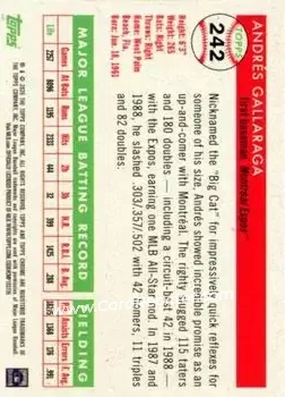 Back of Andres Galarraga